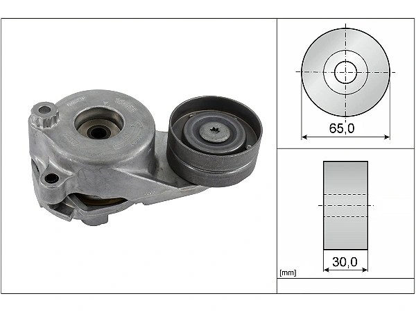 Mercedes M Serisi W166 ML 350 CDI BlueTEC V Kayış Gergisi Komple | INA 534 0183 10