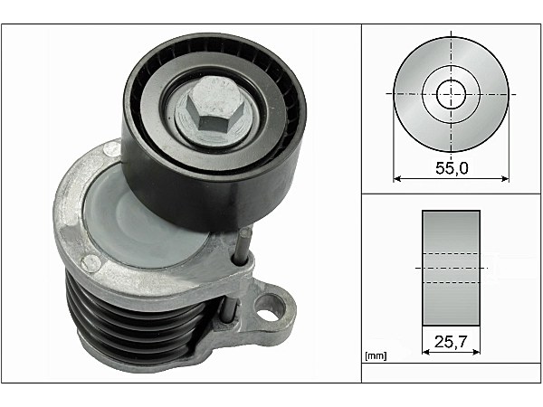 Mercedes C Serisi W205 C 200 d V Kayış Gergisi Komple | INA 534 0591 10