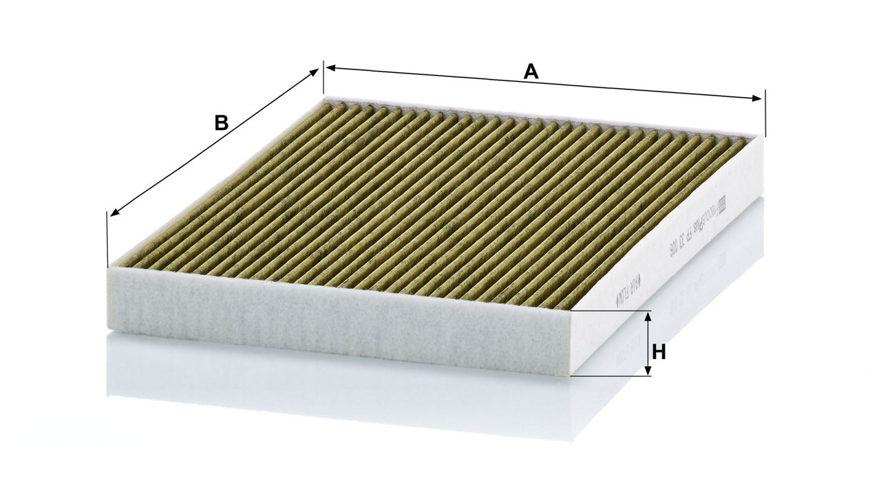 FP 33 006 Ölçü Çizimi